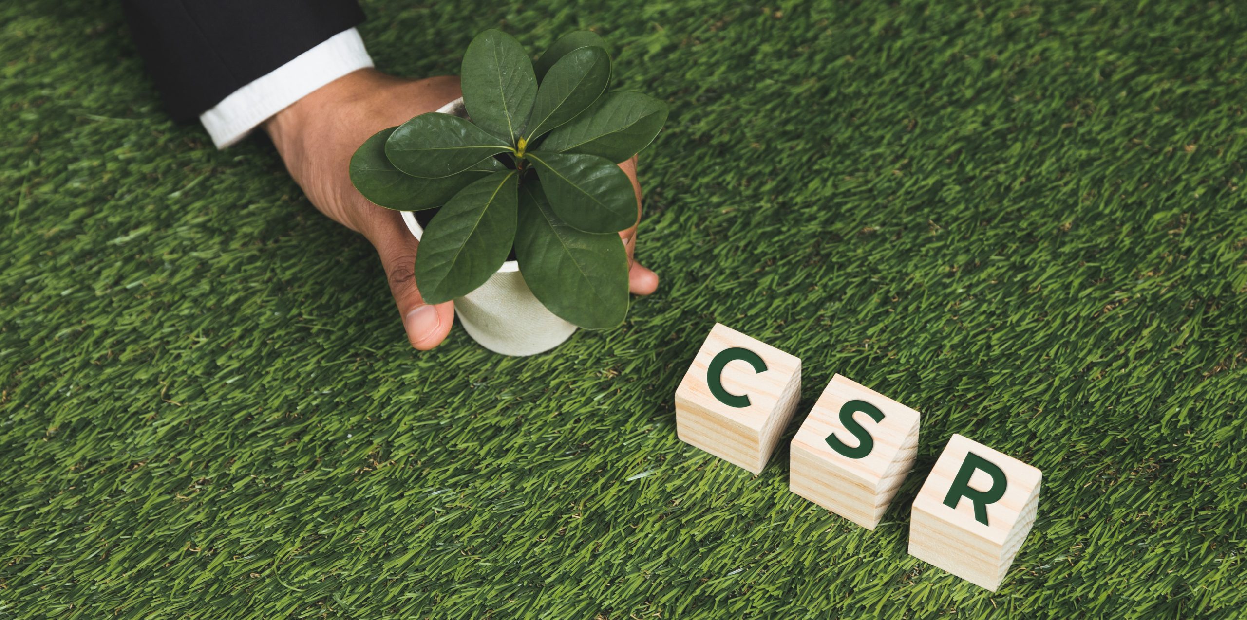 You are currently viewing The Best CSR Program